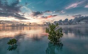 了解女性各特殊時期身體的變化