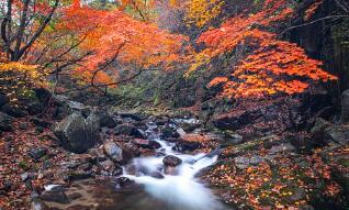 女人體寒疾病的源頭