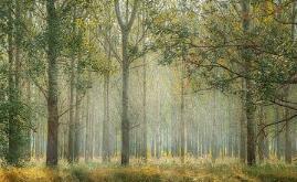 化妝品皮膚怎麽吸收得好？方法在這裏