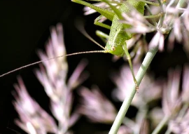 女人喝紅酒防癌美容好處多 但3類人不宜喝