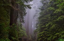 牛奶越濃就越好? 喝牛奶别犯三大錯