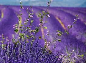 養生常識：萬病之源的一件小事!