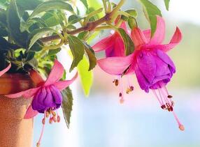 治療腫瘤最新方法有哪些