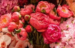 惡性腫瘤與癌症的區别是什麽