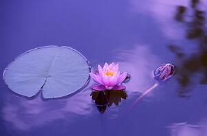 良性腫瘤是癌症嗎