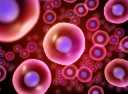 安徽幹細胞培訓機構哪家強?排名及課程介紹! 安徽幹細胞培訓機構哪家強?排名及課程介紹!