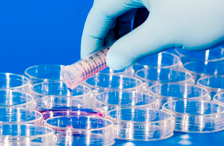 浙江湖州哪裏能做幹細胞移植？具體地址在哪裏？