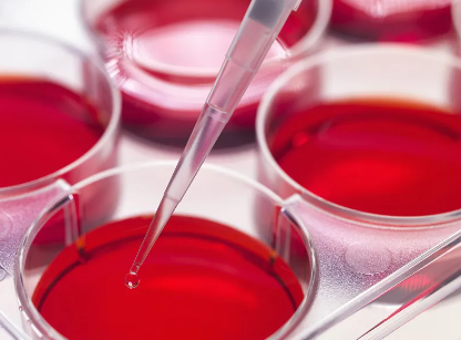 大連哪家幹細胞捐贈機構最可靠？如何聯系？