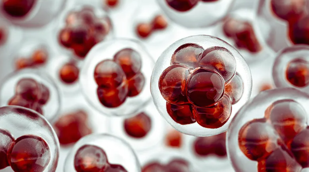 造血幹細胞有哪些細胞類型？其功能是什麽？