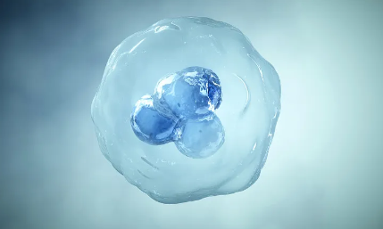 重慶醫美幹細胞存儲哪家機構更可靠？