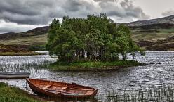 臉上長脂肪粒怎麽辦？