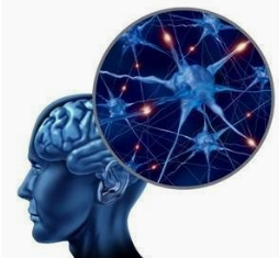 哪些才是我們患上癫痫的病因啊