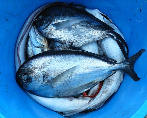 痛風能治好嗎?哪些方法能幫忙?