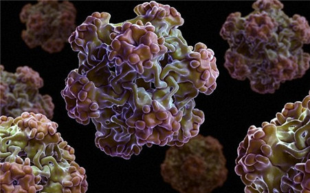 肛周濕疣早期症狀有哪些？該如何預防護理？