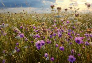 如何運動減去腹部贅肉