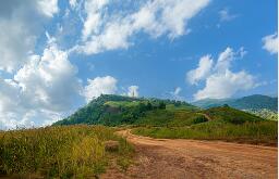 能降血糖的水果