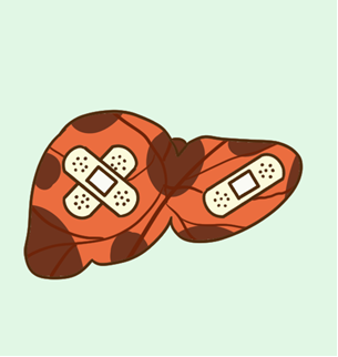 肝纖維化吃軟肝片管用嗎？效果如何？