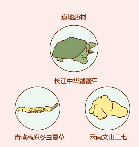 軟肝護肝用什麽中藥好？不妨試試這個