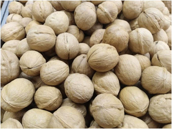 荨麻疹越抓越癢範圍擴大如何是好？這樣來解決