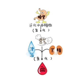 寶芝林壽星補有效果嗎？源自名方，更溫和更有效！