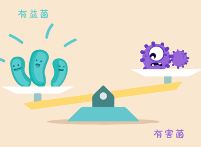 秋冬“養菌”正當時!保健預防腸道病!