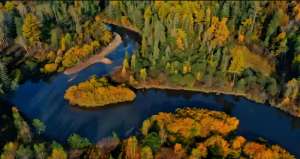 守護綠水青山！青青樂松+微通撬動林下經濟新動能