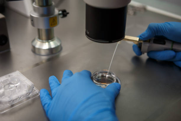 是否選對了泰國試管和日本試管的方法-泰國試管和日本試管對家庭的作用