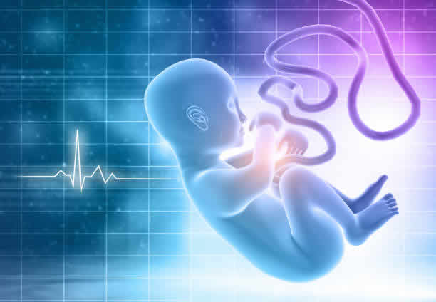 試管嬰兒會讓我卵巢早衰嗎選擇前要點？試管嬰兒會讓我卵巢早衰嗎與傳統比較