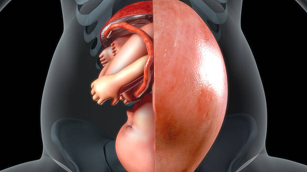 三代試管監測基因費用存在哪些風險-三代試管監測基因費用與傳統方式的比較