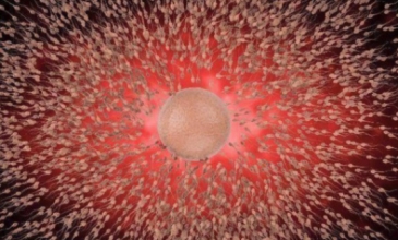 〖成都試管助孕機構排名前十彙總,看看有哪些醫院入選!〗