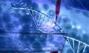 〖衡陽試管嬰兒費用及流程,助孕機構選擇指南〗