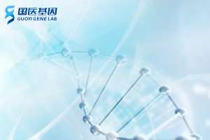 日照各區11大親子鑒定機構及費用（附2025最新鑒定彙總）