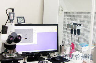 2025武漢未婚試管費用,單身試管嬰兒價格參考