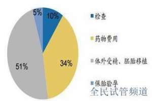 曼谷試管醫院哪家強，專業推薦助好孕
