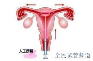 泰國試管醫院排名精選，優質機構推薦