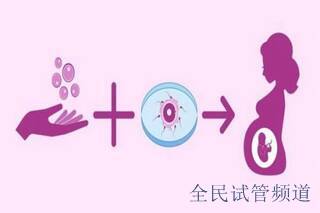 卵子質量差該如何備孕？