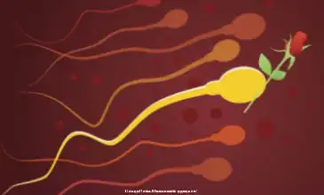 45歲生孩子47歲絕經,FSH值偏高如何調理？飲食運動全方案!