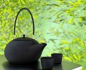 老年白癜風該怎樣保養呢