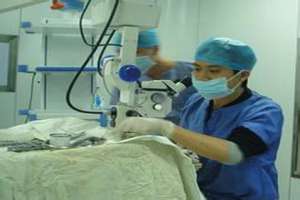 男性精索靜脈曲張治療專業收費