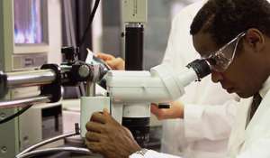 靜脈曲張如何引起男性不育