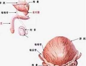 男性怎樣解決前列腺炎