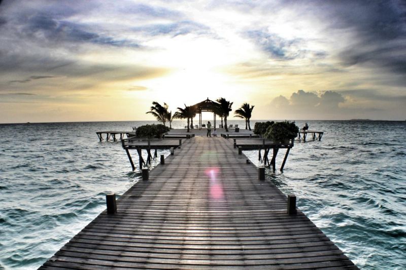 20%的鼻咽癌患兒面臨複發轉移，免疫治療或成新“救命”手段