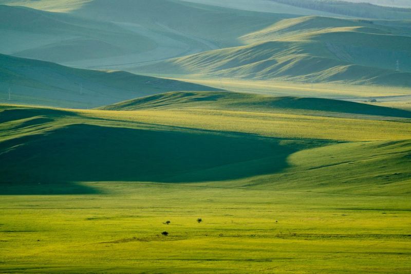 Sci Immunol：皮膚中這類蛋白質或可抗癌！