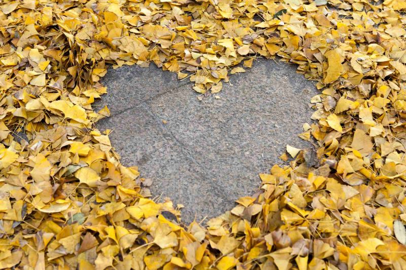 武威白癜風醫院電話 三個月嬰兒得白癜風的原因有哪些