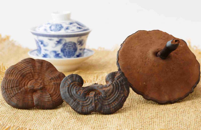 隴南治療白癜風醫院 兒童患上白癜風應該怎麽治療